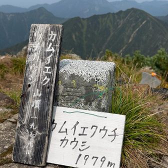 標識は2つ