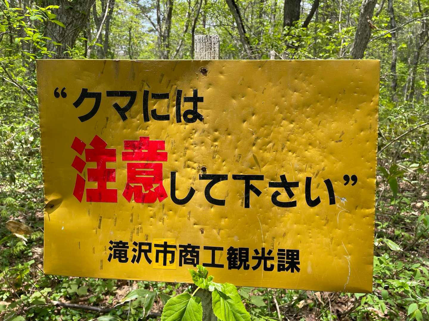 帰り道は高校生と100名くらいすれ違いずっと挨拶してました。
いやー。若いってすばらしい。エネルギーの塊。勝手にパワーをもらった気分に。