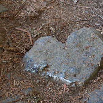 下山の御幸ヶ原コースではハート🩶の石探し。
無事に見つける事が出来ました🙌