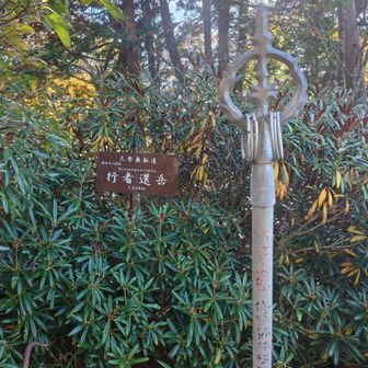 山頂到着
展望はなしです🥲