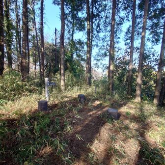多分ここが山頂だと思いますが、山頂標識は見当たりませんでした。
