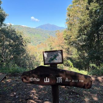 塔の山⛰️ついたー！