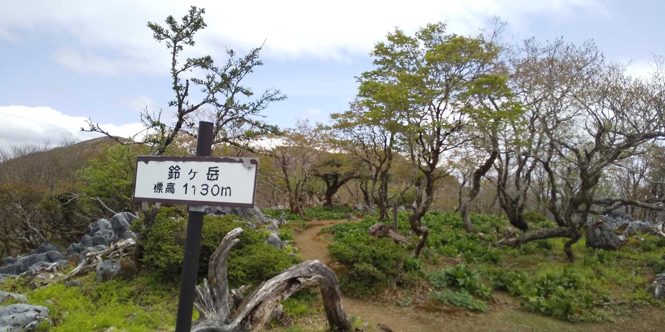 鈴ヶ岳山頂へ。奥には鈴北岳、北には霊仙、伊吹も見えるけど、先程のP938の方が北側は綺麗に見える。途中風が強くてちょっと寒かったけどここは大丈夫そう。