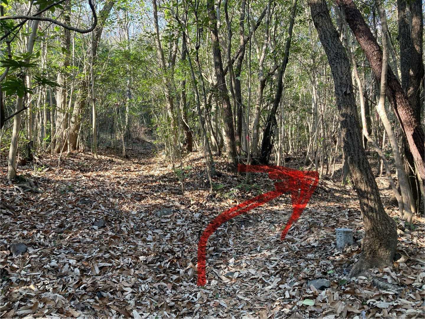 底無井戸-常山 往復コースの写真