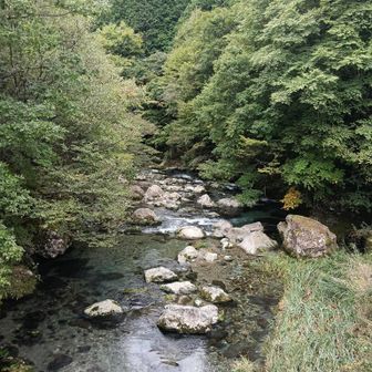 水が透き通るーーー