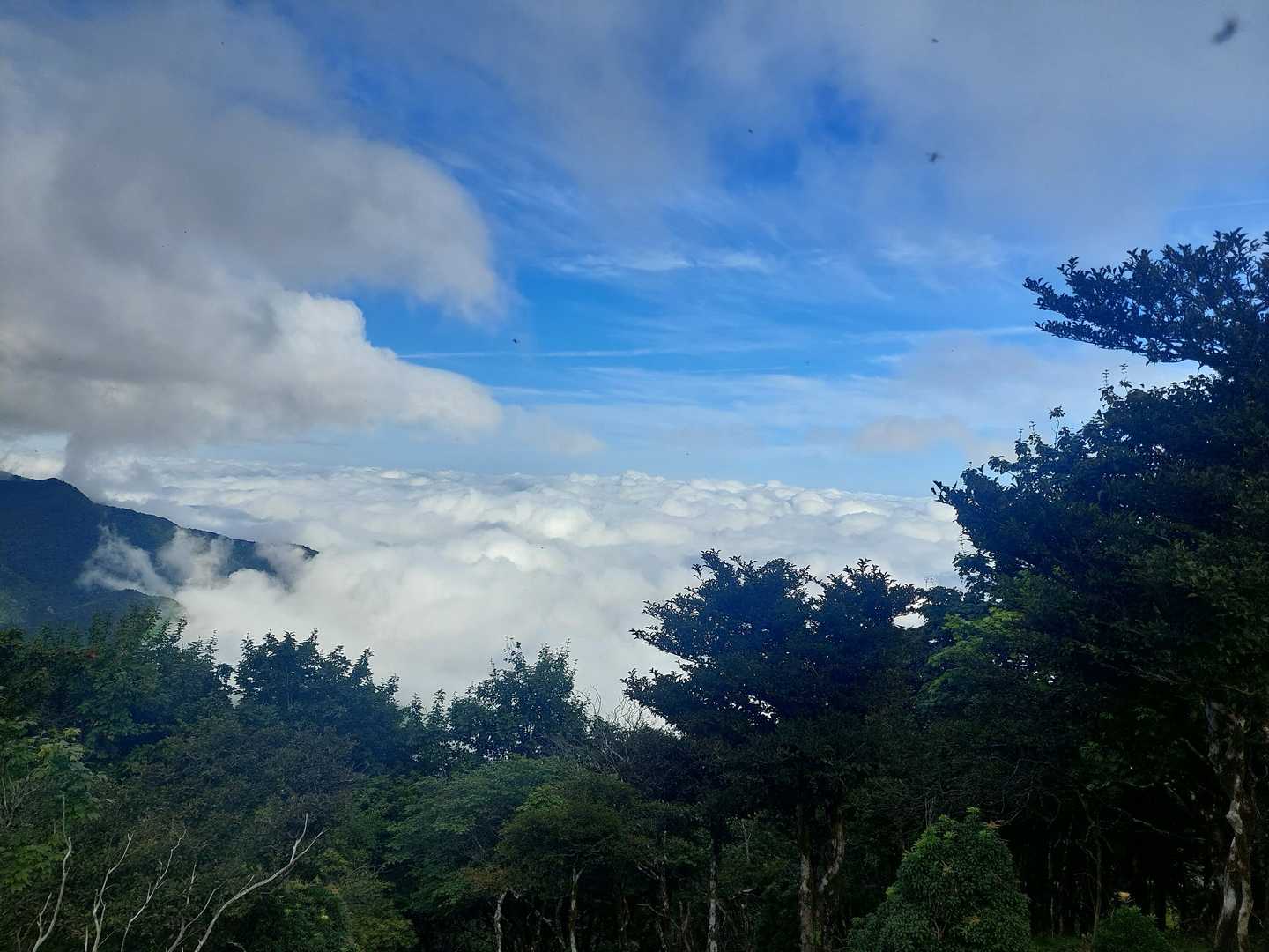 雲海がきれいだーー
嬉しいなぁ