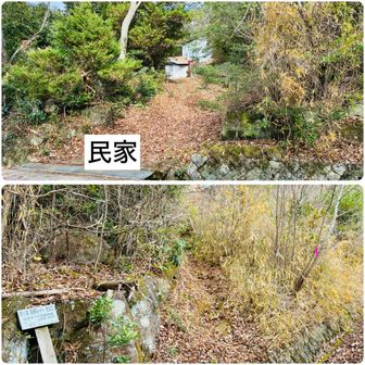 道路に出てそのまま真っすぐ進むと民家に入ってしまいます⚠🚫
少し右に登山口があります（目印🎀付けておきました）