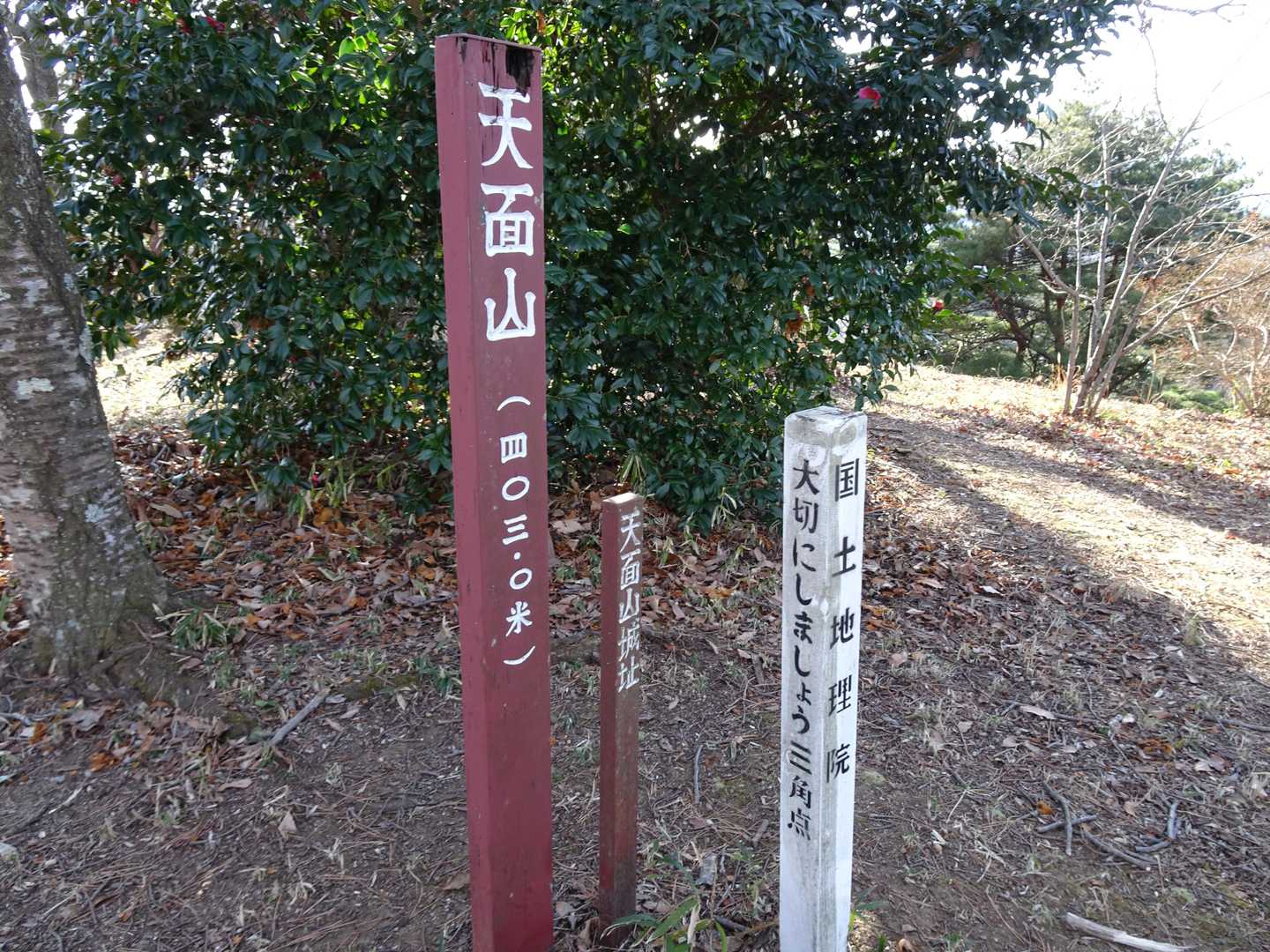 天面山山頂。