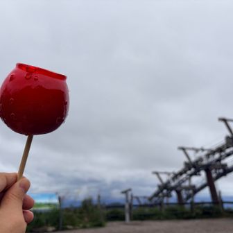 ロープウェイ待ち時間にペロリと完食🍎😋