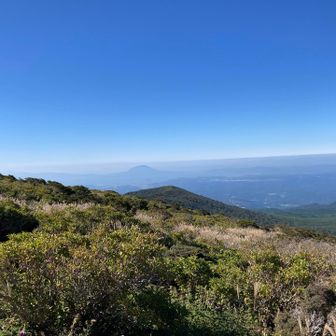 桜島〜。