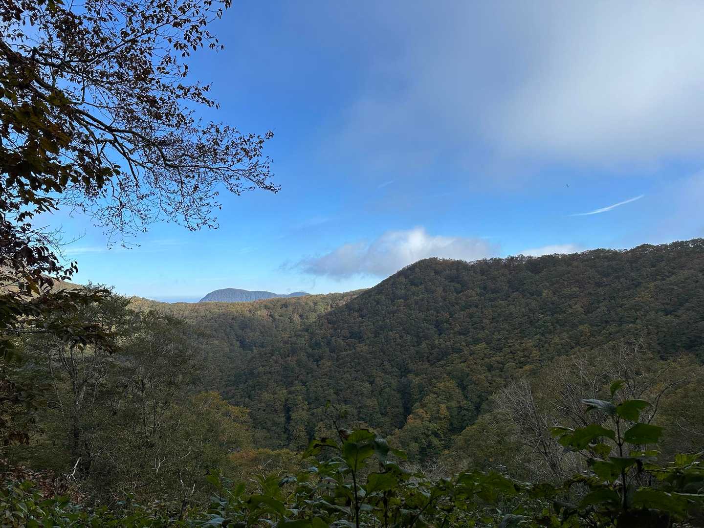 朝の晴天で気持ち良いです