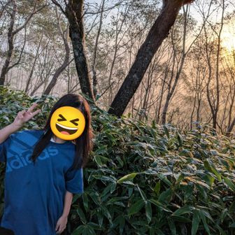 ブラックスタートだったので、最初の写真がほぼ山頂。
てんくらCだったんですよ。風で。
なのに長女の長袖を車に置いてきてしまって…。途中長女が寒くて動けなくなってしまいまして…。防寒も何も持っていなく、Tシャツを着させました。レインもないという。山なめんなよってことですね。反省。仕方ないので身で包んで温めて歩いて、を繰り返し進みました。その甲斐あってか山頂付近で日が出たらニッコリピース✌️