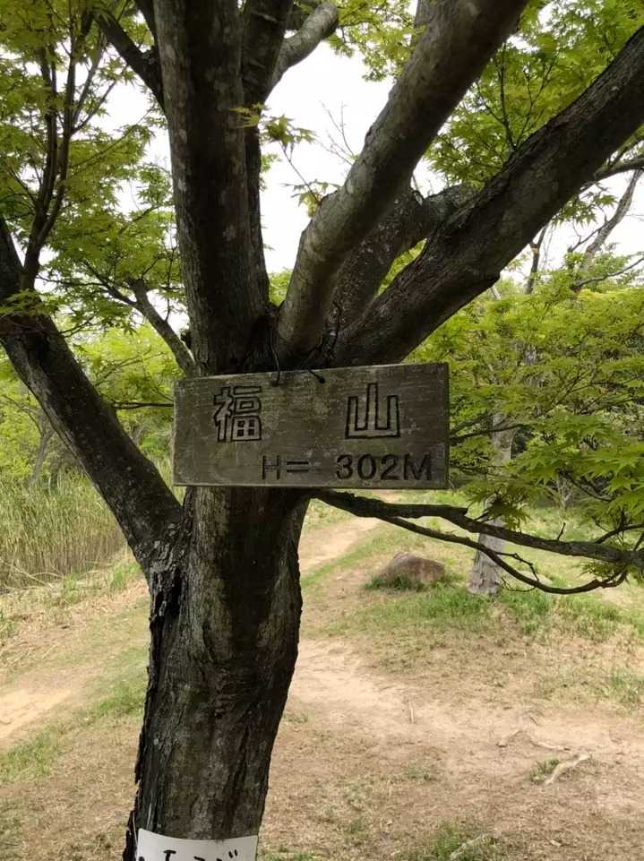 福山の写真