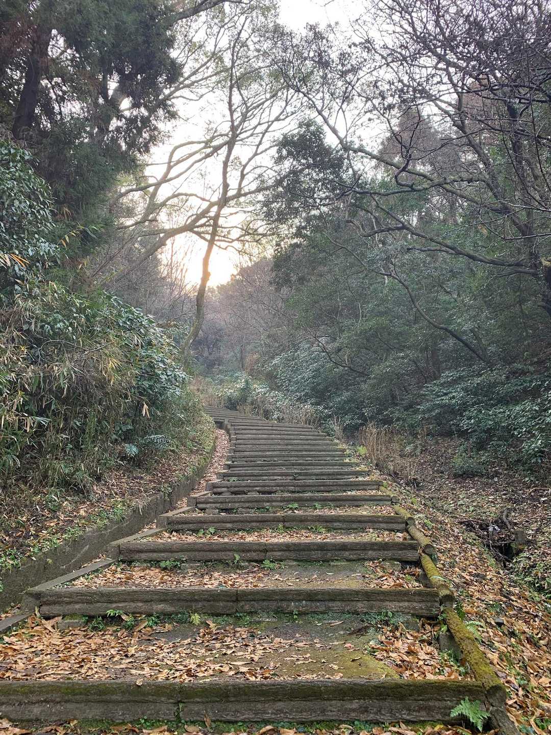 神津嶽-神津嶽ふれあい広場 往復コースの写真
