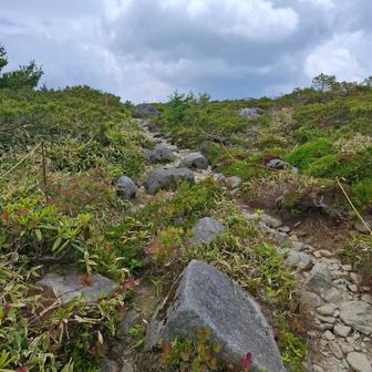 山頂に向かう