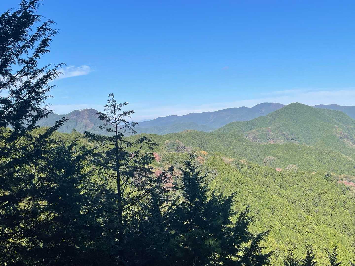樹林帯からようやく見渡せる山々がくっきり！