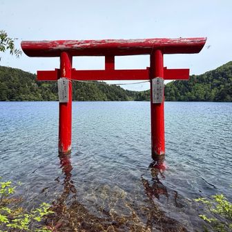 大沼池に立つ、大蛇神社の鳥居