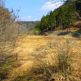 湿地の展望台からの景色