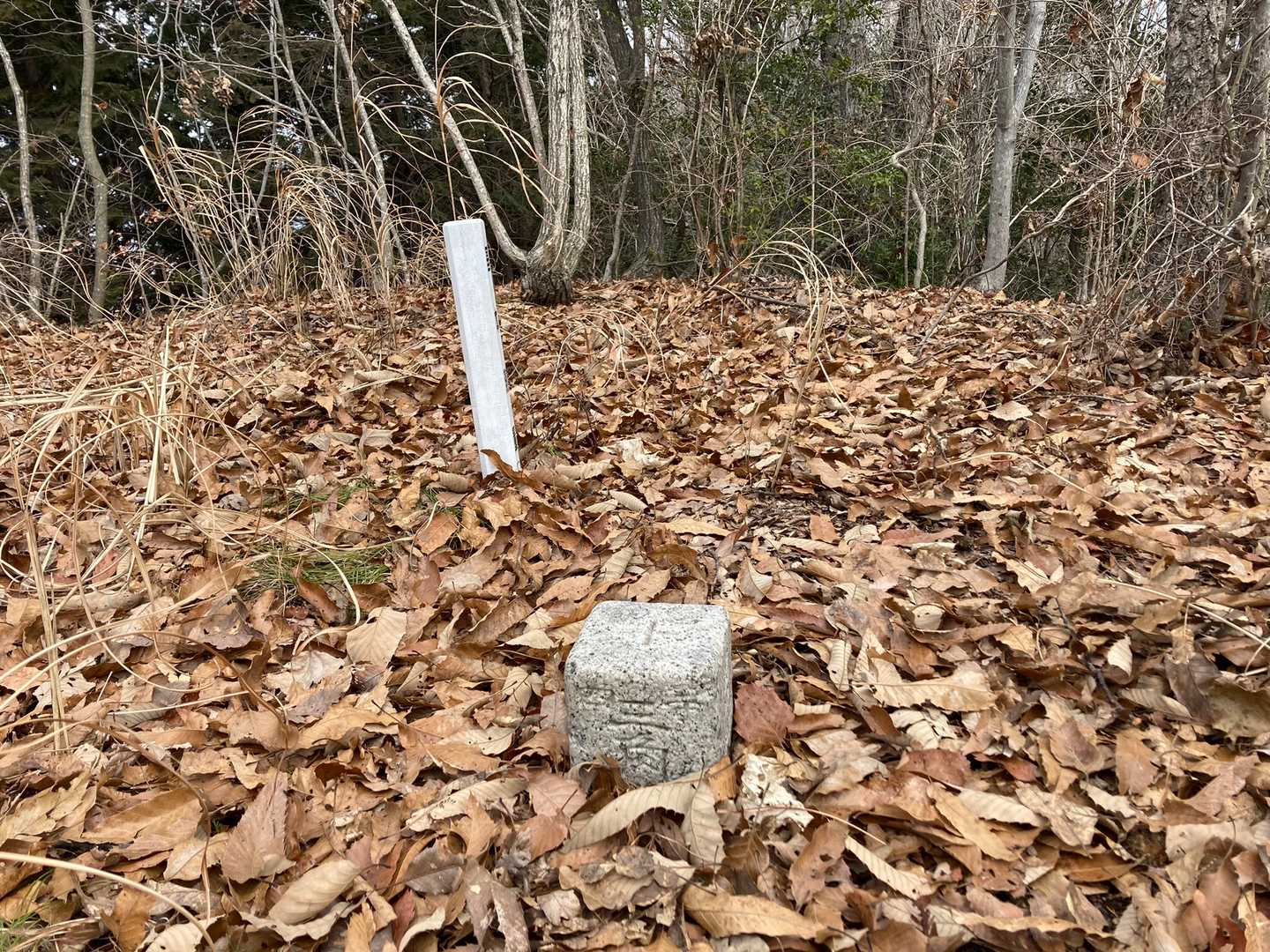 こんぴら山