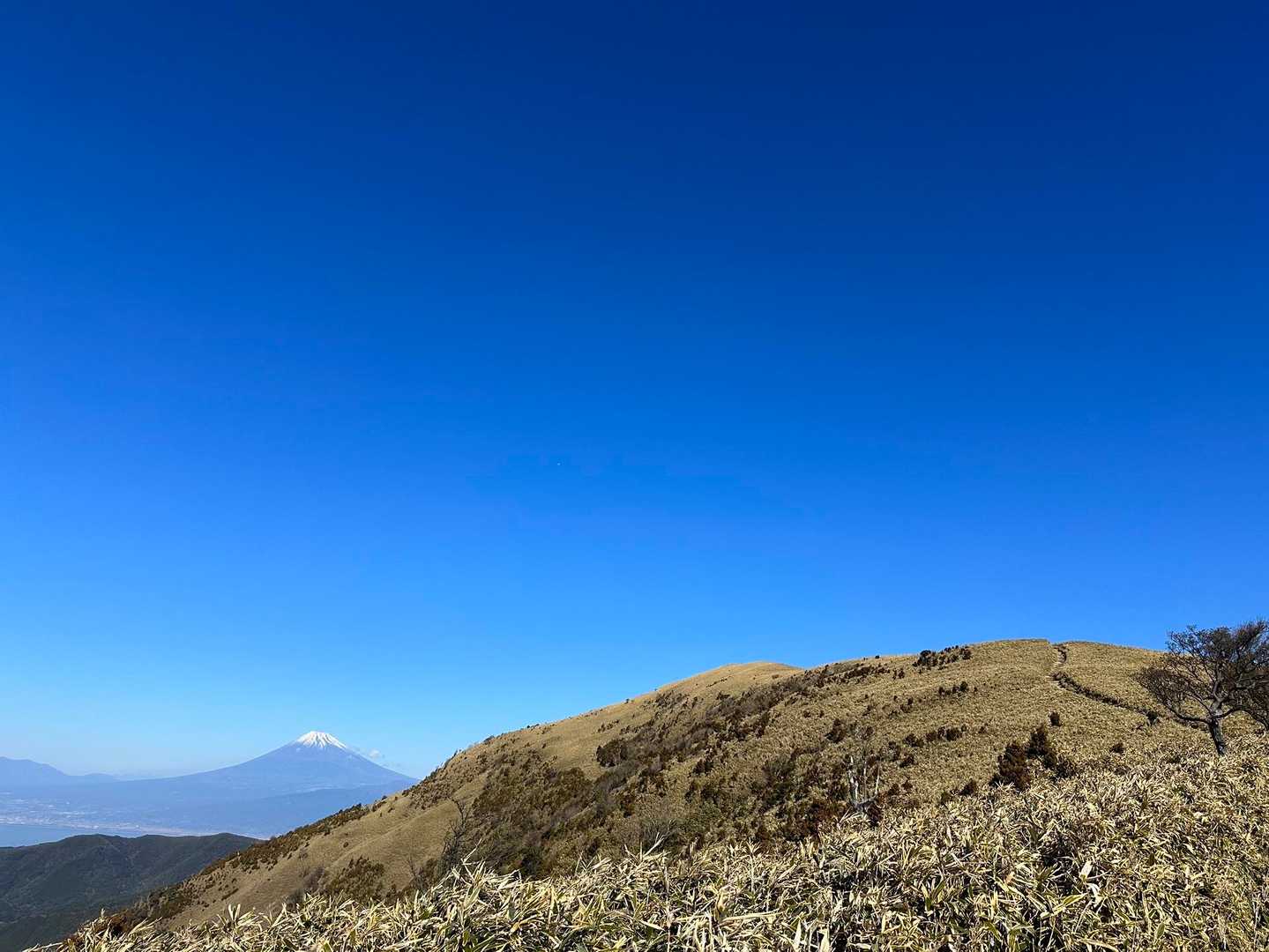 伽藍山-古稀山-達磨山 往復コースの写真