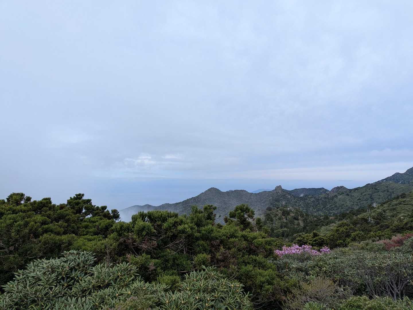 山の向こうは海✨✨