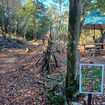 上段曲輪の中央部