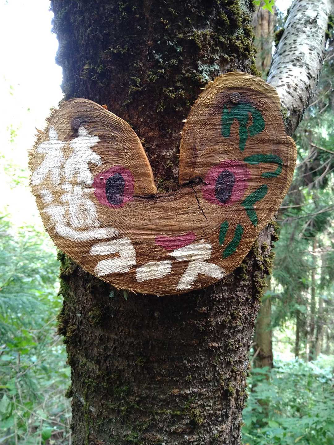 概ね林道のユル傾斜を歩きました。