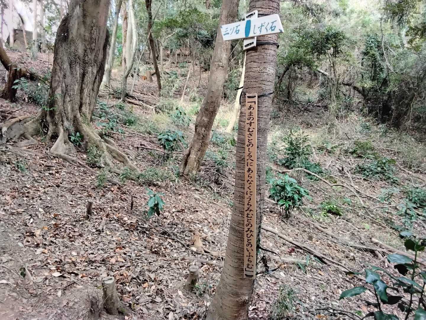 ちょい難しい