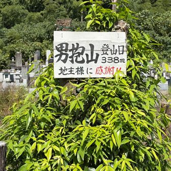 謝々🙏