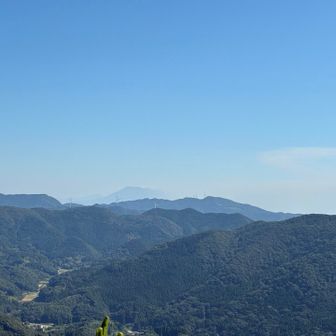 素晴らしい…奥には桜島が見えます⛰️