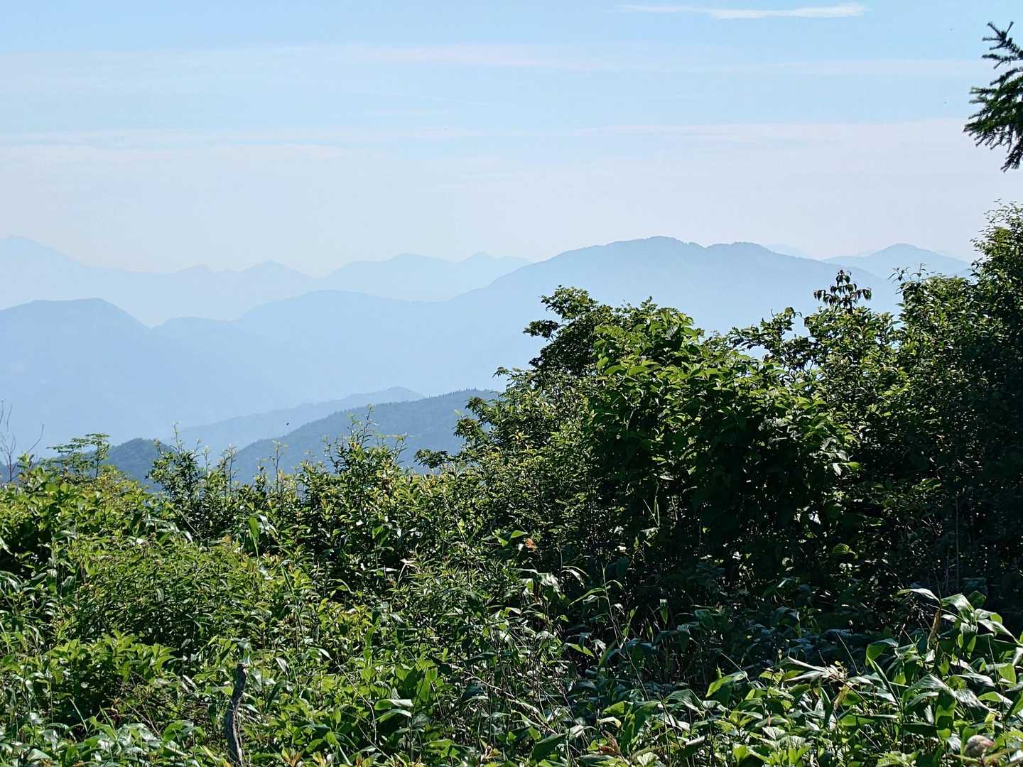 花見山 往復コースの写真