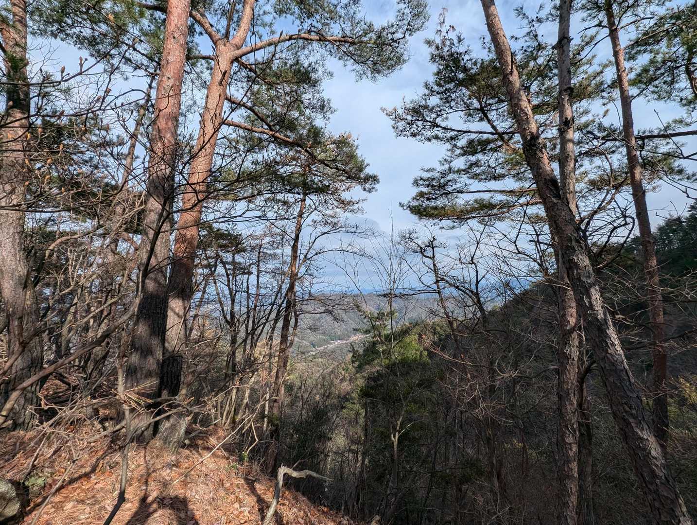 三角山 周回コースの写真