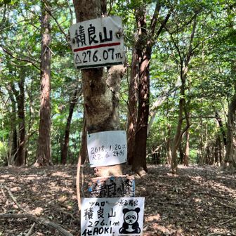 わ！看板見つけた！