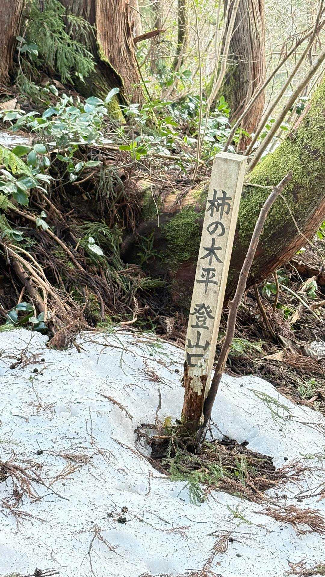 おりてきた