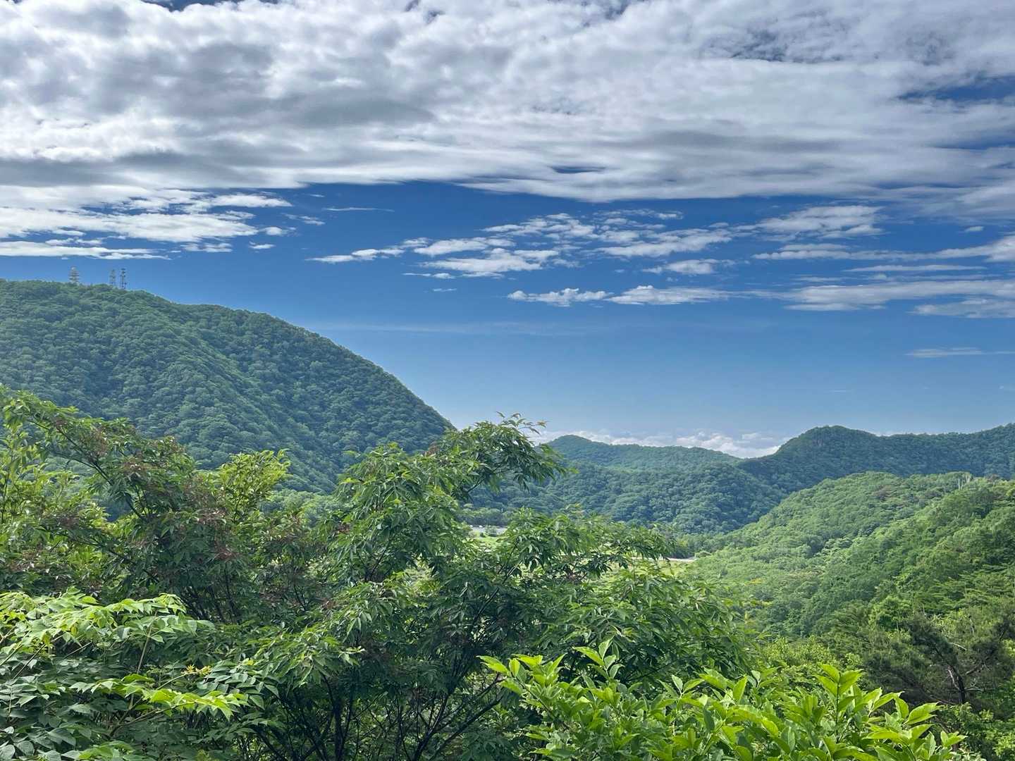 姥子山-鍬柄山-鈴ヶ岳 往復コースの写真