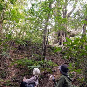 巨木を望む位置に腰かけ、少し遅いお昼ご飯
温かスープと🥐☕ダバダ～で至福の時間😊