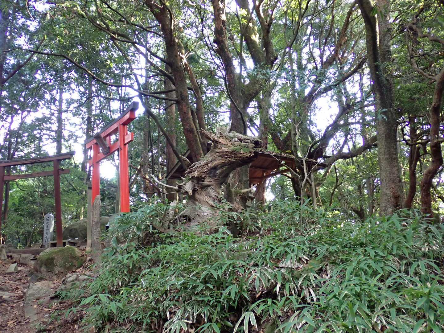 今日は57分
久し振りに1時間切れた
でも後半スタミナ切れでペース落ちまくり😓