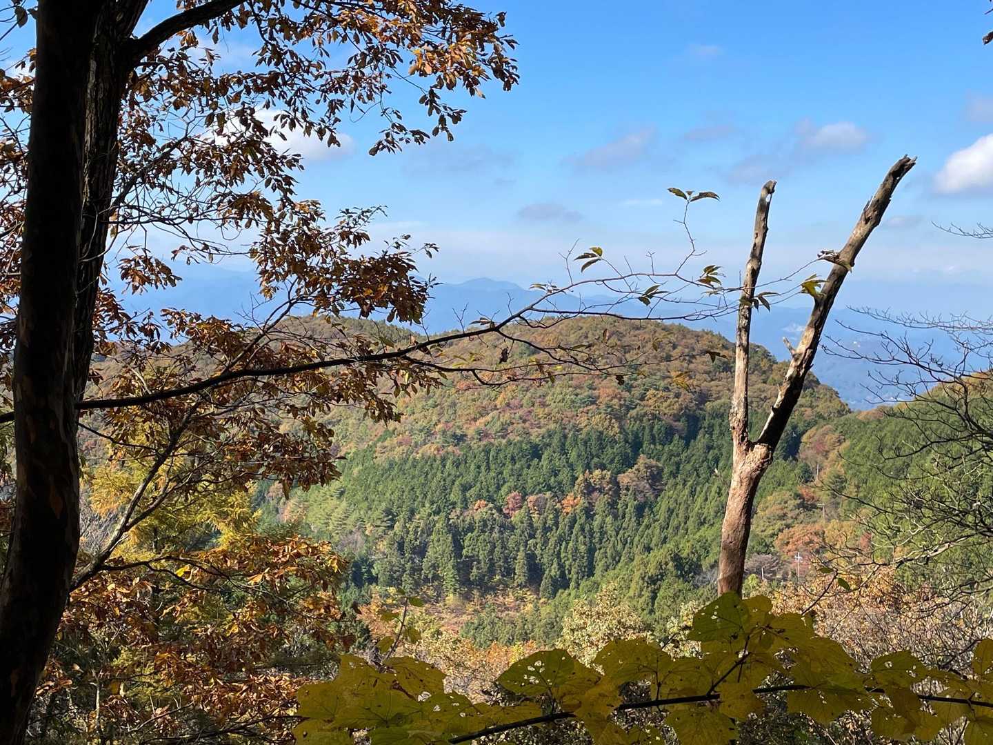 芦ヶ久保駅-大野峠-丸山 縦走コースの写真