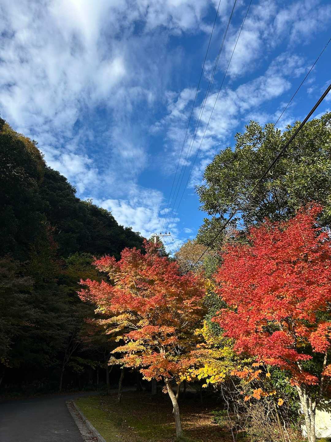 麓は紅葉ピーク🍁
