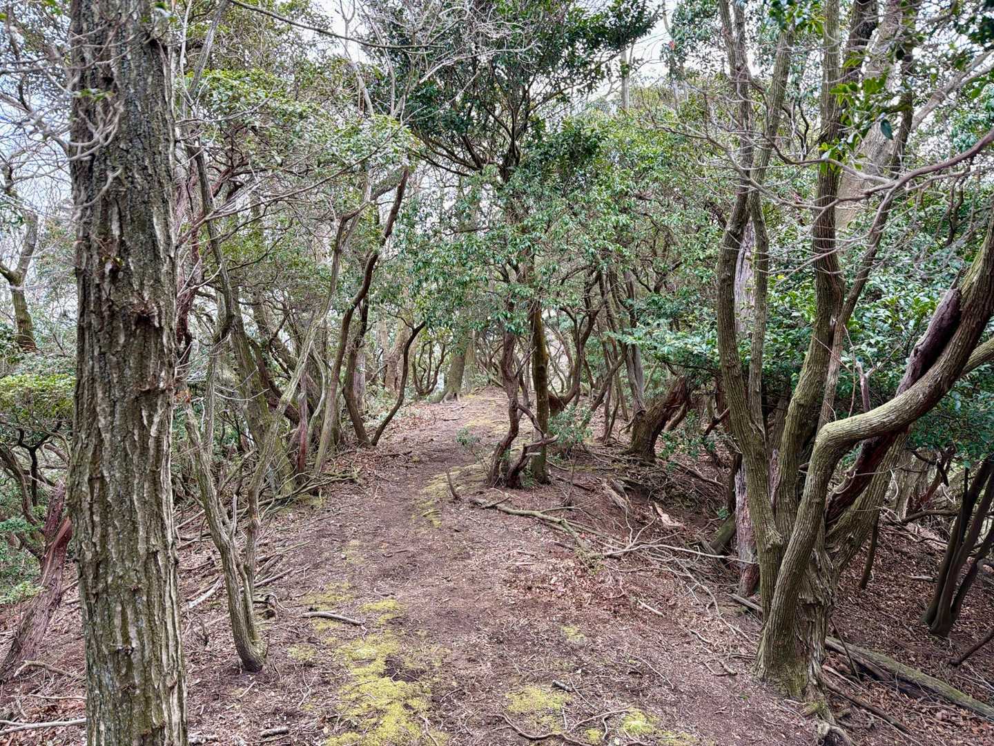 このあたりが鍋山なんですけどね。
標識が見当たらず。