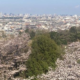枡形山展望台から