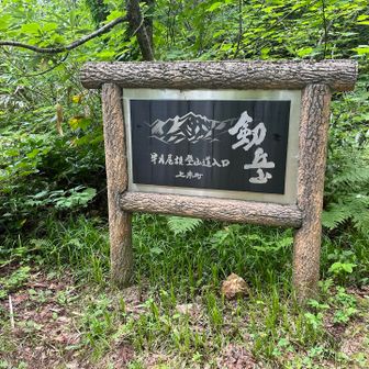 無事帰ってこれました