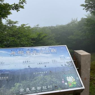 本来なら曽爾高原方面の展望があるのに霧で何も見えない。