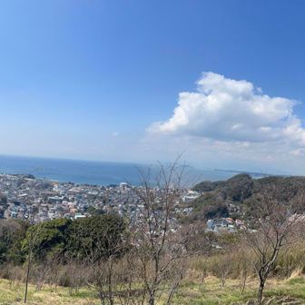 眺望いいですね！🗻はお預け