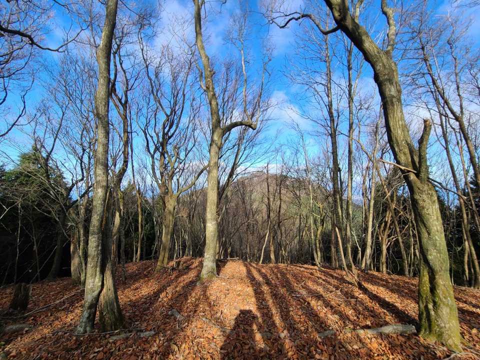 奥のお山は、先程まで居た 楢原山かな❔