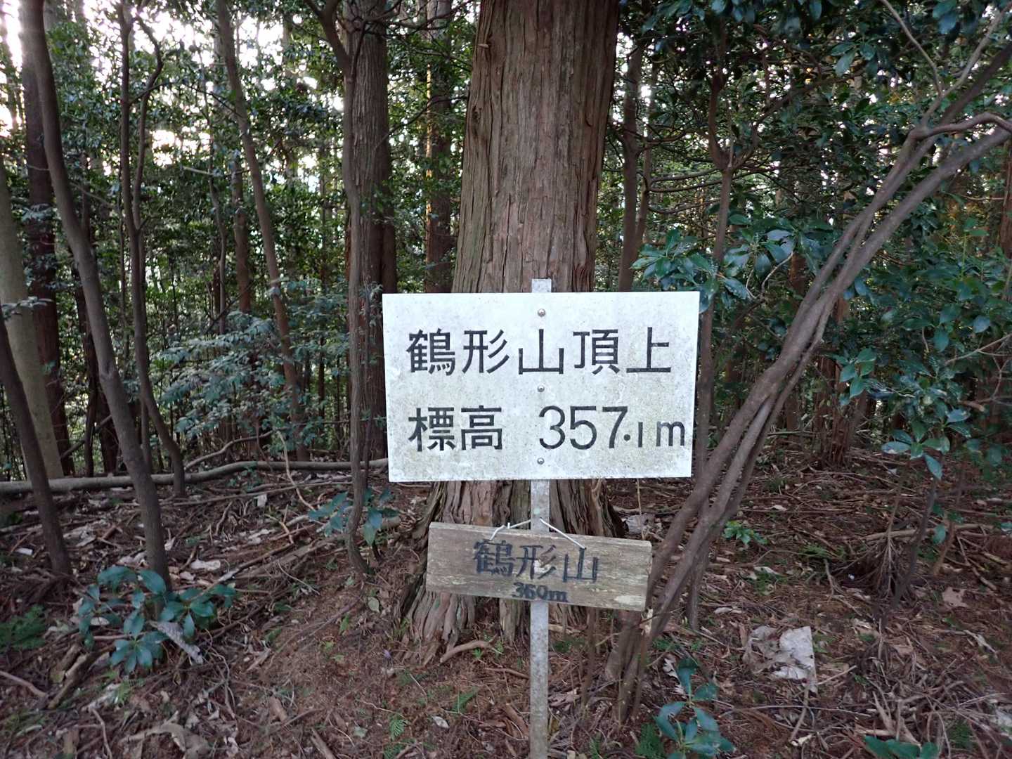 １座目、鶴形山、眺望なし
