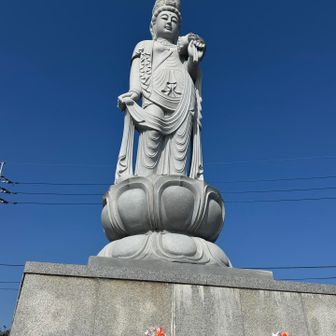 朝日を浴びて気持ち良さそう
