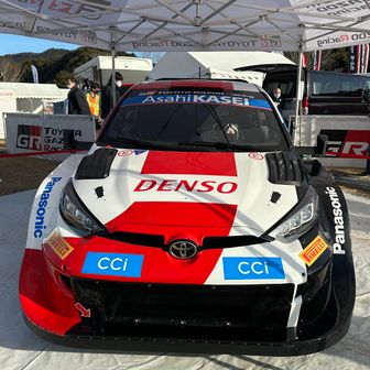 世界の山ちやン　🌸