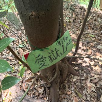 登山始めたての頃なら見逃してるところや！