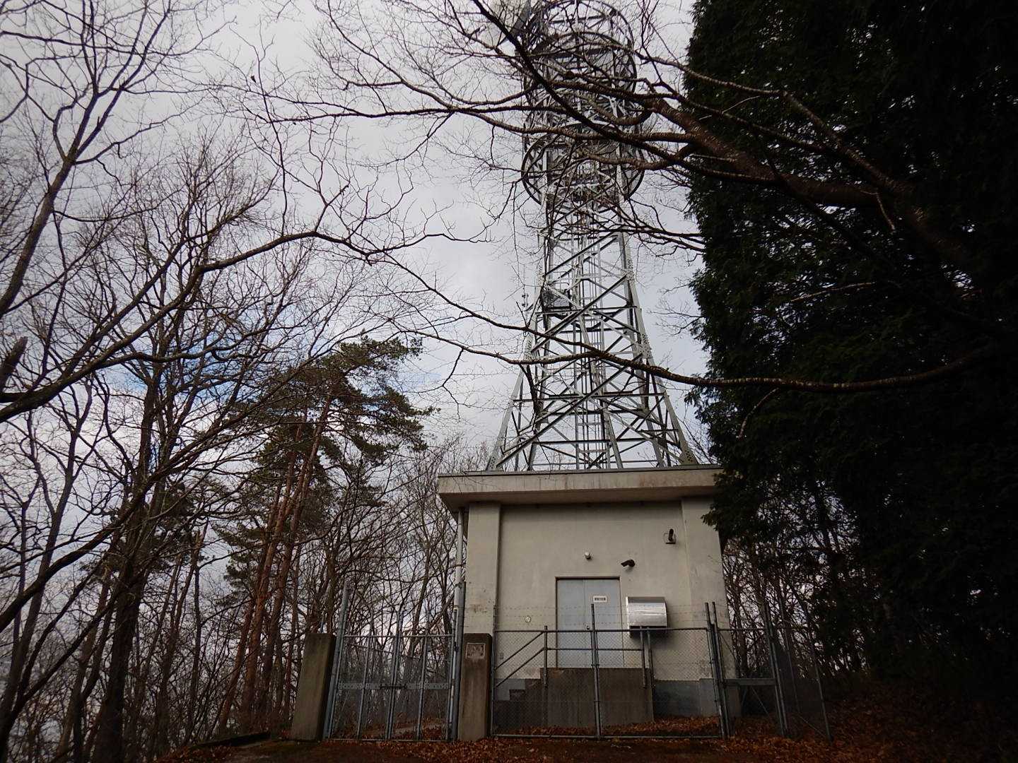 頂上は電波塔📡